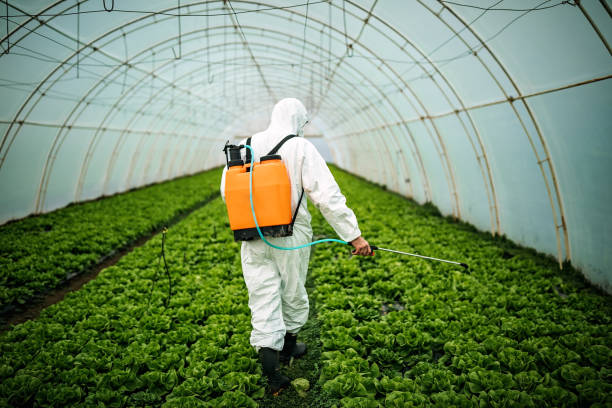 Best Affordable Exterminators  in Pearsall, TX