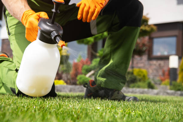 Best Wildlife Control Services  in Pearsall, TX