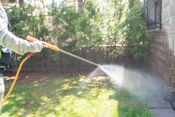 Best Pest Prevention Services  in Pearsall, TX