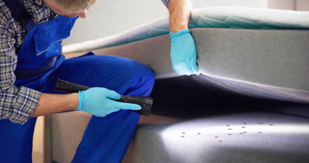 Best Exterminator Services  in Pearsall, TX