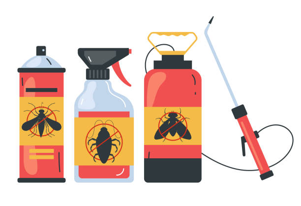 Best Flea Control Services  in Pearsall, TX