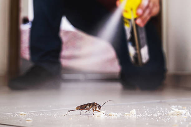 Best Best Pest Control Companies  in Pearsall, TX