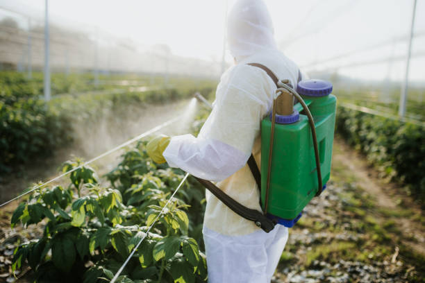  Pearsall, TX Pest Control Pros